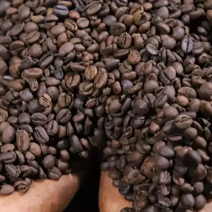 Mentan Targetkan Nilai Ekspor Kopi Naik Jadi Rp 100 Triliun, Dorong Bibit Unggul Kopi Gayo