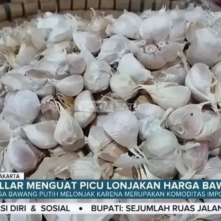 Pemerintah Perkuat Logistik dan Hadapi Penguatan Dolar Untuk Menstabilkan Harga Pangan