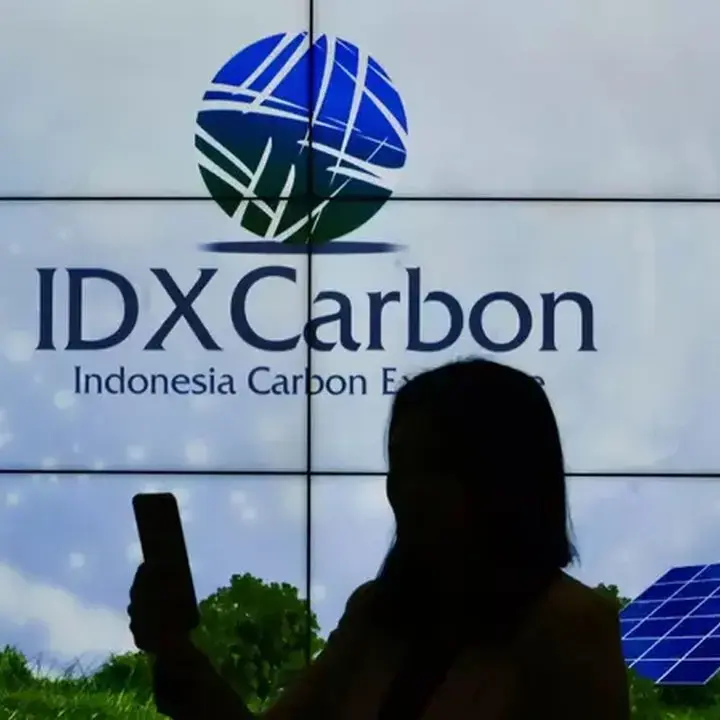 Pengusaha Kehutanan Alihkan Fokus ke Perdagangan Karbon