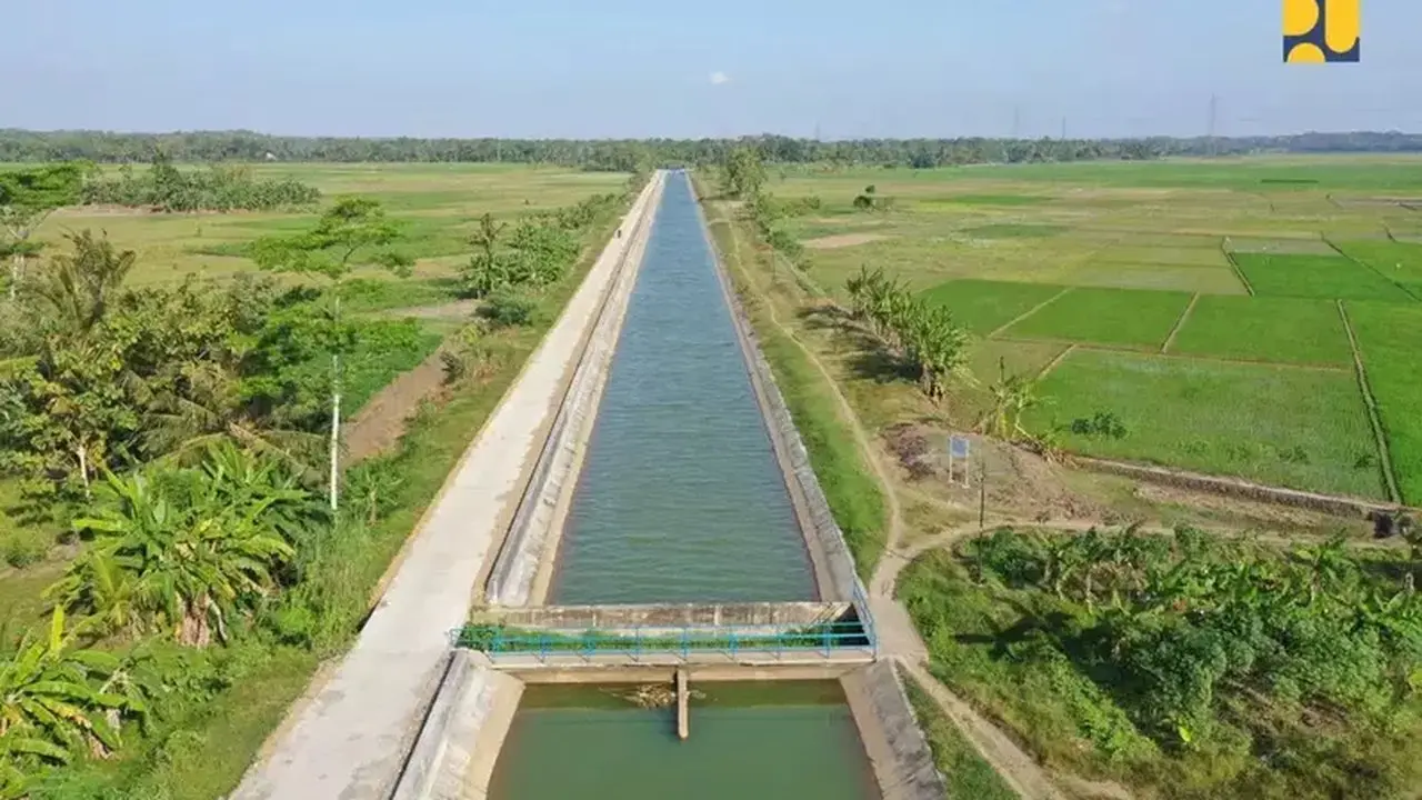 Strategi Rp16,4 T untuk Atasi Lahan Padi Puso Akibat Kemarau dan El Nino